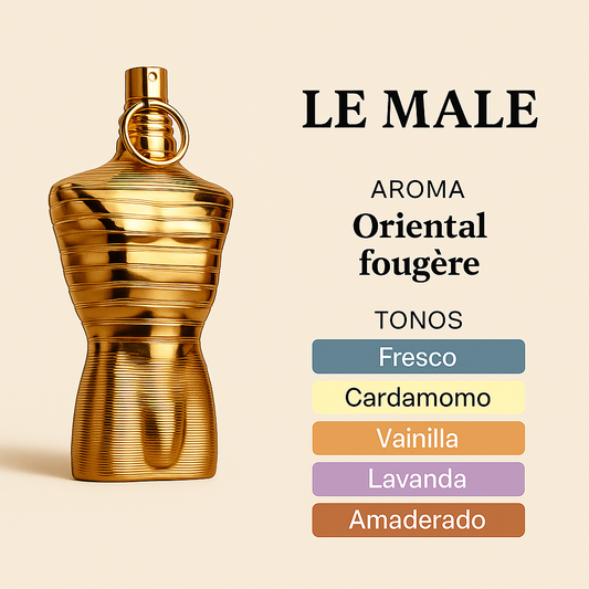 Le Male Elixir Absolu (2025)